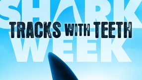 Shark Week 2014: Everything you need to know about the 13 exciting shark shows