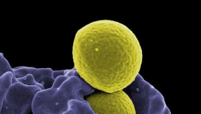 Skin and lung cancer drug approved in UK
