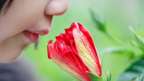 Sniff test can help diagnose autism in children, researchers say