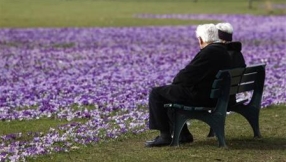 Technology use can affect mental age, says study 