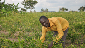 Meet Uganda\'s Millionaire-Making Farmer