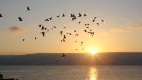 True holiness: Why it's not about keeping the rules 