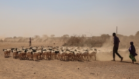 \'Please help stop these people starving to death\' Archbishop aide pleads for Anglicans to act against famine