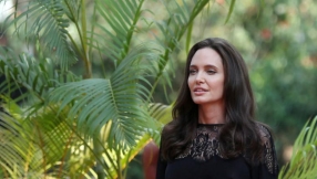 Angelina Jolie, Brad Pitt divorce news: Former couple reportedly talking again after split