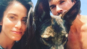 Nikki Reed and Ian Somerhalder soon to have their first baby boy?