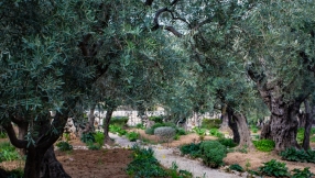 Attack on Gethsemane Church intended to 'drive Christians from the Holy Land'