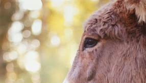 When a step of faith needs courage