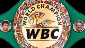 World Boxing Council bans trans-identified males from competing against women