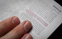 British children no longer know Bible stories 