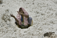 Who are the real slaves to fashion?