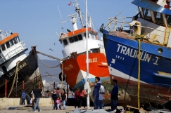 8.3-magnitude Chile earthquake: Is this another sign of the coming apocalypse?