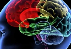 \'Incredible\' hope for the unconscious: Medical researchers find brain\'s on-off switch for consciousness