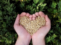 3 ways you can have a heart for the hungry this World Hunger Day